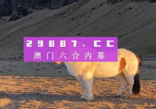澳门最快的开奖六开彩，探索与解析，澳门六开彩开奖探索与解析，速度背后的秘密