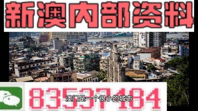 新澳门精准四肖期准，探索与解析，澳门精准四肖期准解析探索