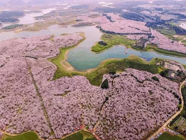 贵州最值得一游的几大景点，贵州必游景点开云（中国），绝美旅游胜地大盘点