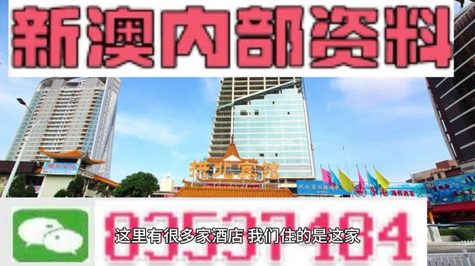 新澳门正版免费资料的查找方法与解析，澳门正版免费资料查找方法与解析指南