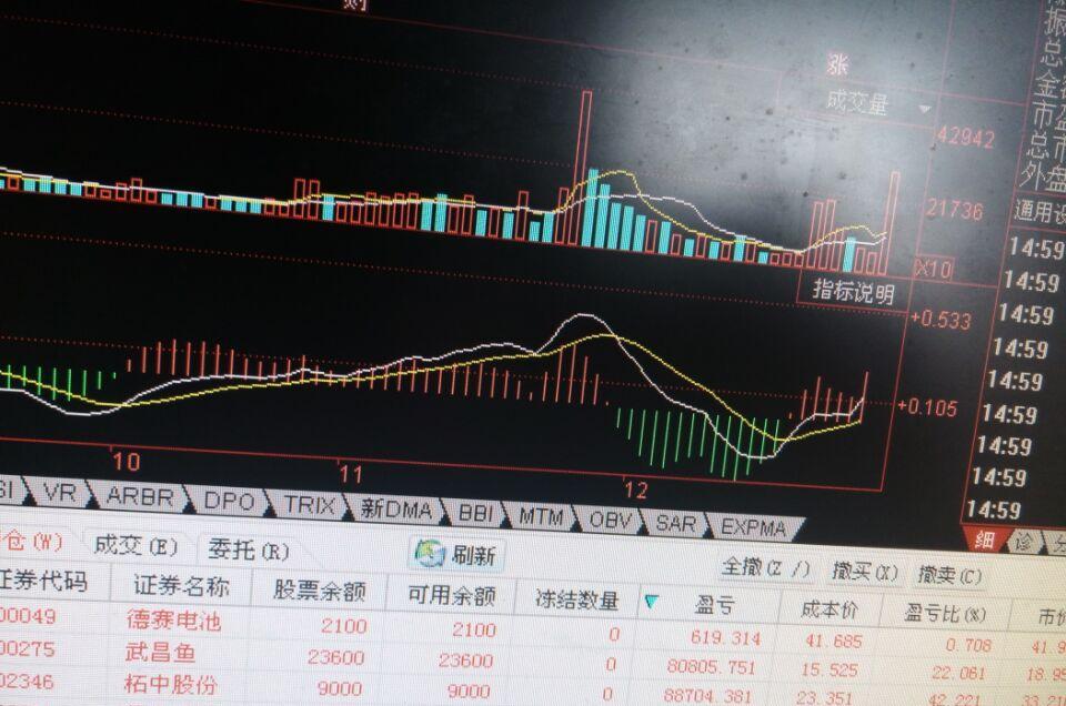 探索神秘的数字世界，走进神秘的002346股吧，揭秘数字世界的神秘面纱，探寻神秘的股吧002346之旅