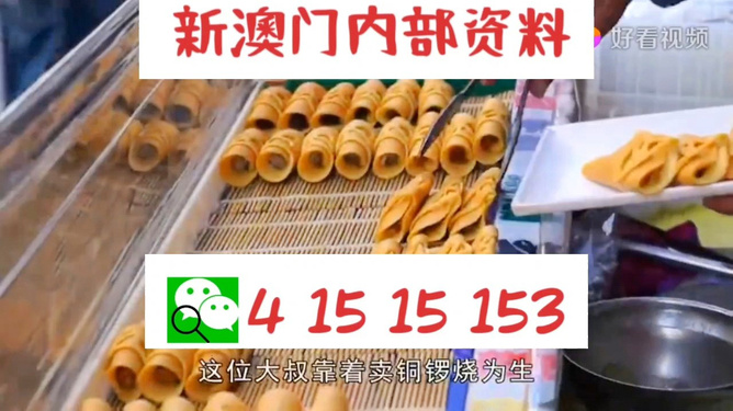 新澳门天天开好彩大全开奖记录，探索与解读彩票的魅力，澳门彩票魅力揭秘，开奖记录全解析与探索之旅