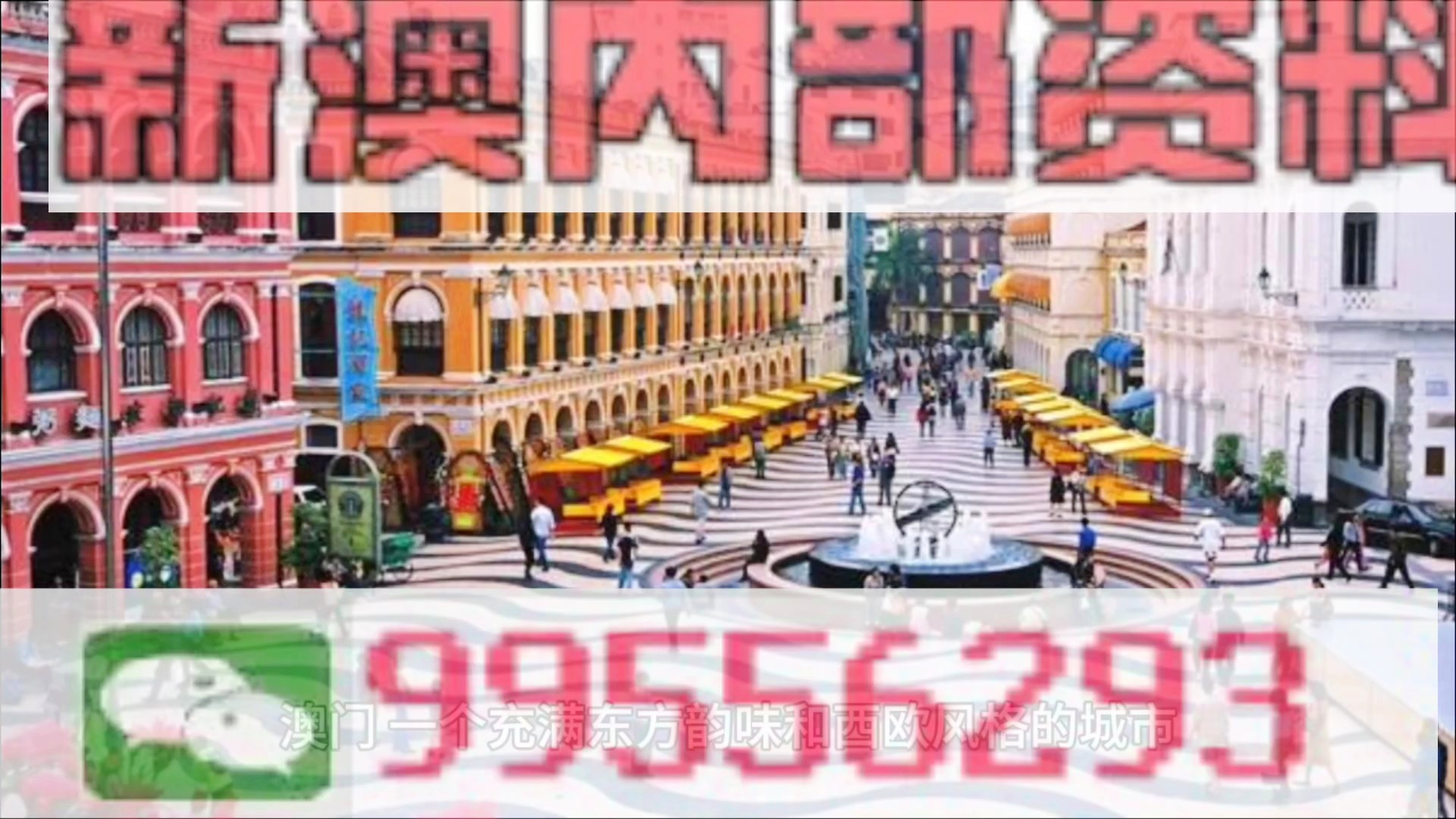 澳门内部四肖八码期期准免费资料，探索与揭秘，澳门内部四肖八码期期准揭秘与探索，免费资料大揭秘