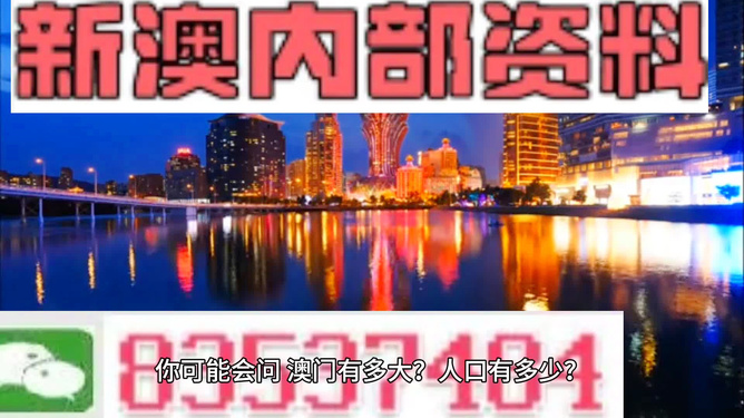 探索新奥精准免费资料，揭秘2n24的魅力与实用价值，揭秘新奥精准免费资料与2n24的魅力及实用价值探索