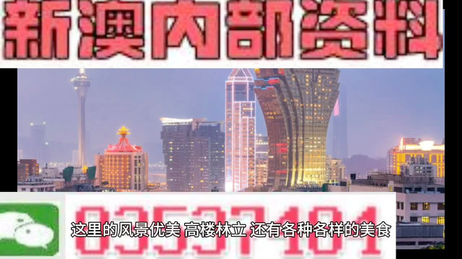 探索新奥精准免费资料，揭秘2n24的魅力与实用价值，揭秘新奥精准免费资料与2n24的魅力及实用价值探索