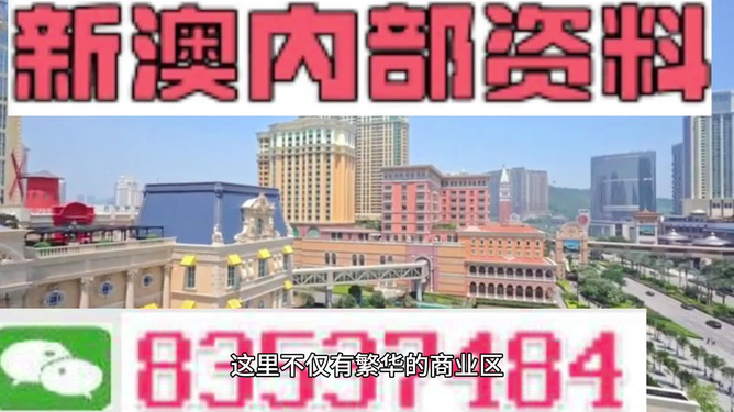 探索新奥精准免费资料，揭秘2n24的魅力与实用价值，揭秘新奥精准免费资料与2n24的魅力及实用价值探索