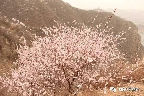 游三峡大坝，门票价格与更多细节，游三峡大坝，门票价格及更多旅游攻略细节