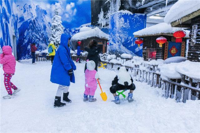 冰雪大世界门票价格详解，冰雪大世界门票价格全面解析