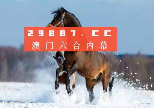 澳门一一今晚精准之选，探索数字背后的故事与期待，澳门今晚数字背后的故事与期待，精准之选探索之旅