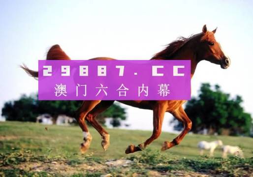 澳门一一今晚精准之选，探索数字背后的故事与期待，澳门今晚数字背后的故事与期待，精准之选探索之旅