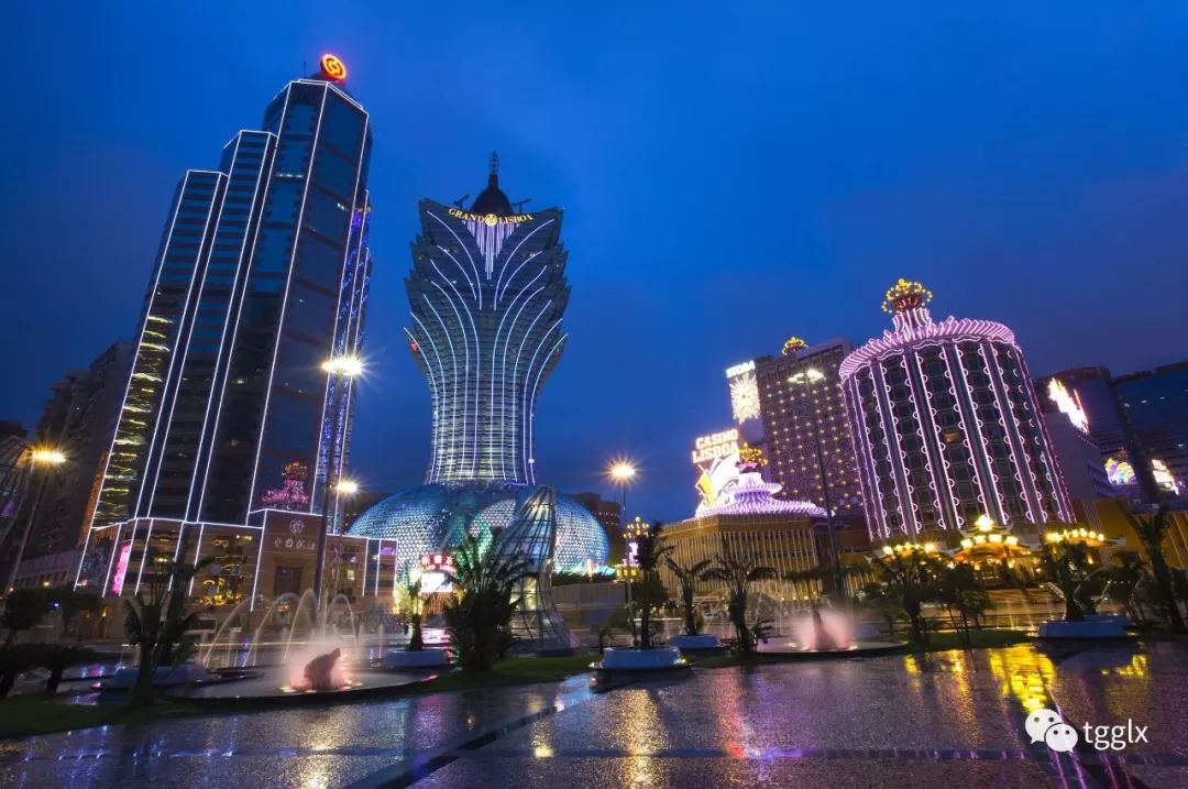 澳门81期最快天天开奖，探索彩票的魅力与挑战，澳门彩票魅力与挑战，天天开奖探索之旅