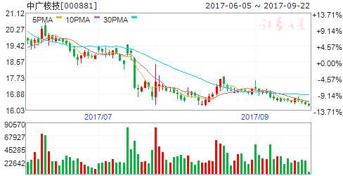 中广核股票（代码，000881）深度解析，中广核股票（代码000881）全面深度解析