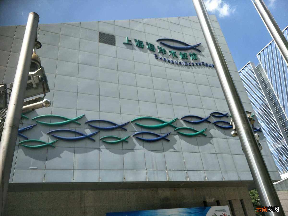上海水族馆官网购票攻略，上海水族馆官网购票攻略大全