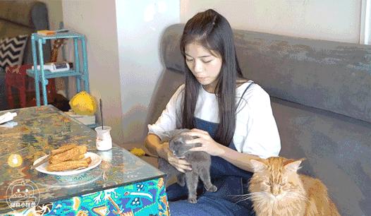 小学生可以做的小甜点，小学生DIY小甜点做法分享