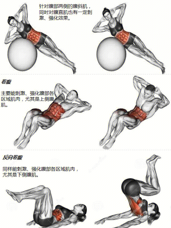 塑造完美腹肌，锻炼腹肌的方法图解，腹肌塑造秘诀，图解锻炼腹肌的终极指南