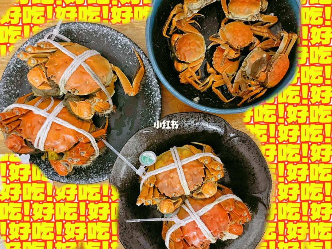 螃蟹的烹饪方法与食用艺术，探索螃蟹怎么吃的多样性与美味，螃蟹烹饪方法与食用艺术，探索多样性的美味与风味体验
