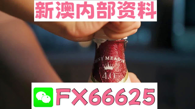 新澳门一码一码，探索真实准确的预测之道（100%准确性的追求），澳门预测有风险，警惕犯罪陷阱，真实准确的预测之道需谨慎追求