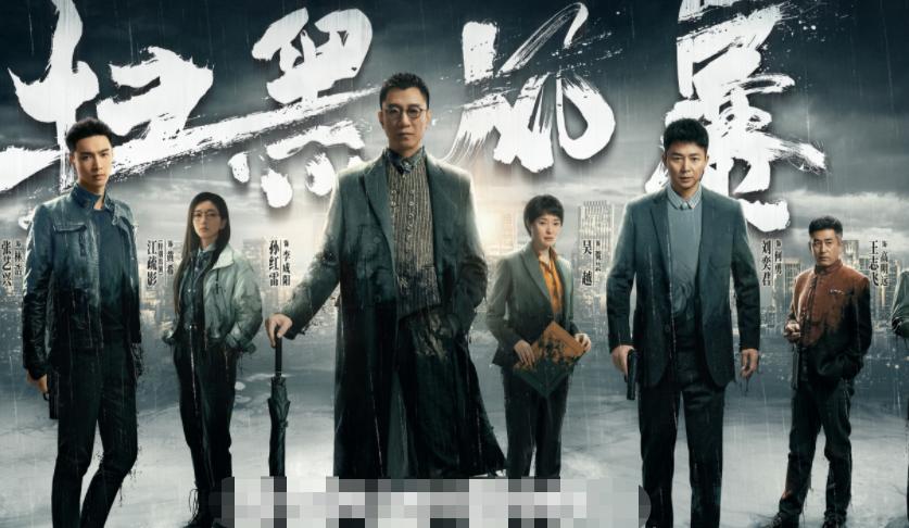 扫黑风暴演员表深度解析，扫黑风暴演员表全面深度解析