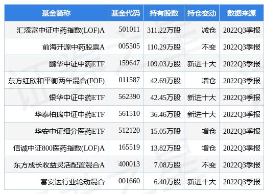 汇添富美丽30基金净值，探索、理解与展望，汇添富美丽30基金净值深度解析，探索、理解与未来展望
