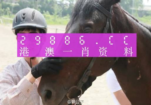 澳门一肖一码必中一肖，探索命运之轮的神秘面纱，澳门一肖一码揭秘命运之轮神秘面纱