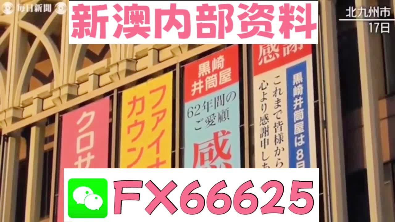 新奥天天精准资料大全，深度解析与实际应用，新奥天天精准资料大全，深度解析及实际应用指南