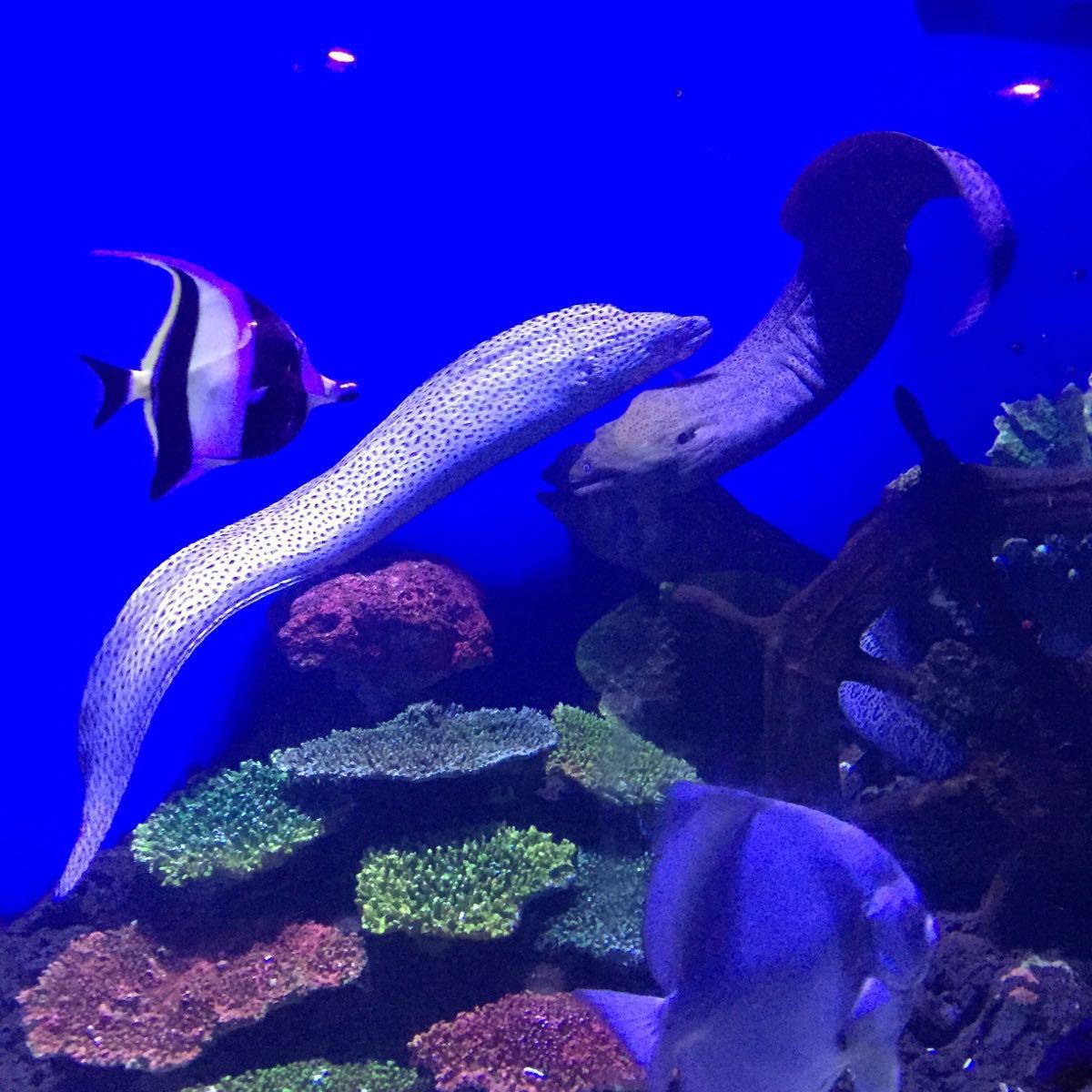 海洋探索之旅