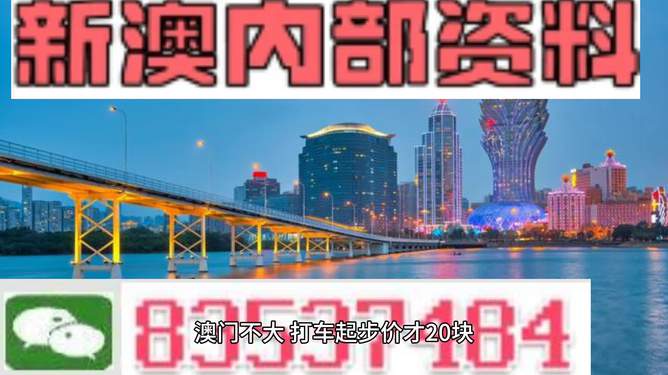 新澳门精准四肖期准，探索预测的魅力与挑战，澳门精准四肖期预测，探索预测的魅力与面临的挑战