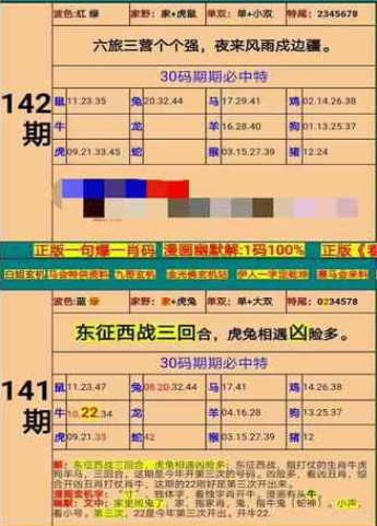 一码一肖，揭秘精准预测的神秘面纱，揭秘一码一肖精准预测的神秘面纱
