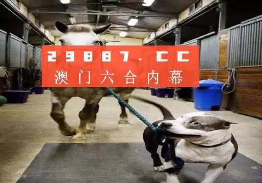 澳门一肖一码一必中一肖同舟前进的独特魅力与探索，澳门一肖一码，独特魅力的探索与前进之路