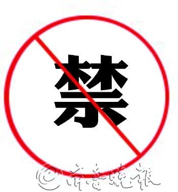 无需下载，迈向未来，拥抱数字时代的绿色生活，迈向数字时代的绿色生活，拥抱未来无需下载！