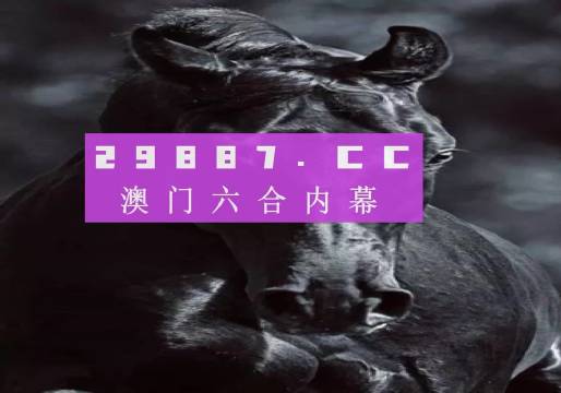 澳门彩票开奖结果，探索与期待，澳门彩票开奖结果揭秘，探索未知，期待幸运降临