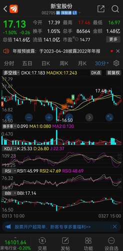 新宝股份股票股吧，深度解析与前景展望，新宝股份股票深度解析及前景展望——股吧热议话题