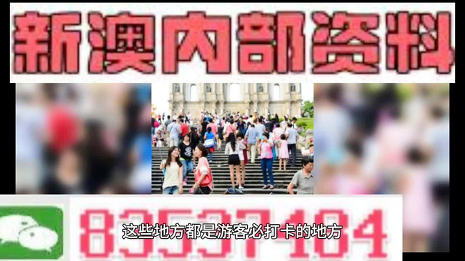 新澳精准资料免费提供，探索第510期的奥秘与价值，新澳第510期精准资料探索，奥秘与价值揭秘