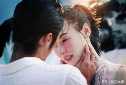 辽宁成大股票最新公告深度解读，辽宁成大股票最新公告深度解读与分析