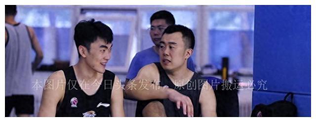 辽宁成大股票最新公告深度解读，辽宁成大股票最新公告深度解读与分析