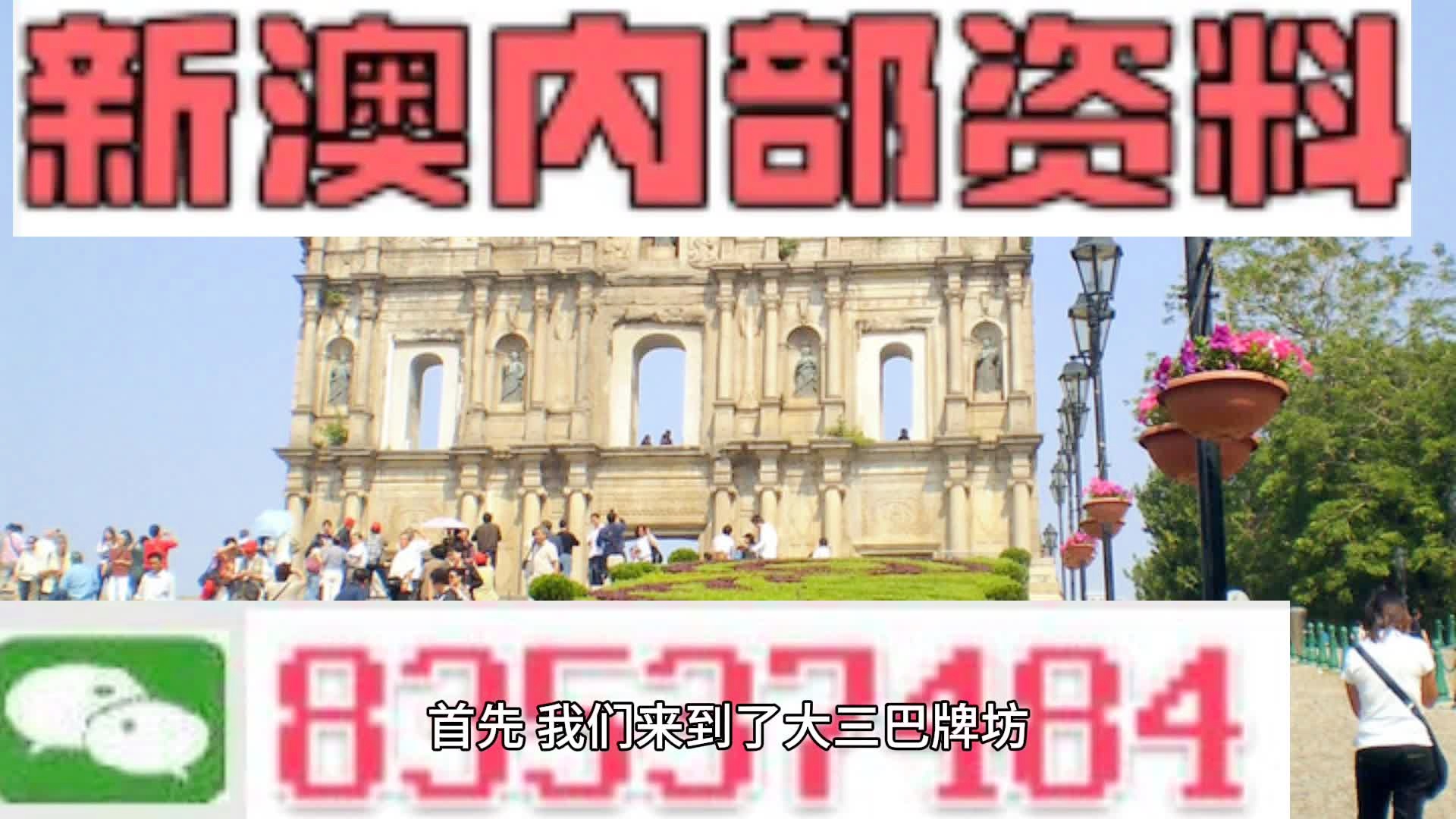 新澳2025大全正版免费资料解析，新澳2025正版免费资料权威解析