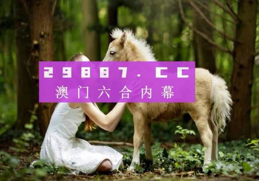 澳门阿六开奖结果查询，探索与解析，澳门阿六开奖结果查询及解析指南