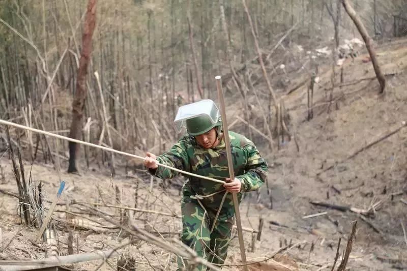 杜富国改编的电影名称及其深度解读，杜富国改编电影名称及其内涵深度解读