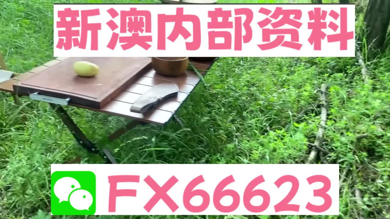 探索未来，2025新澳精准资料大全概览，探索未来，2025新澳精准资料大全概览概览