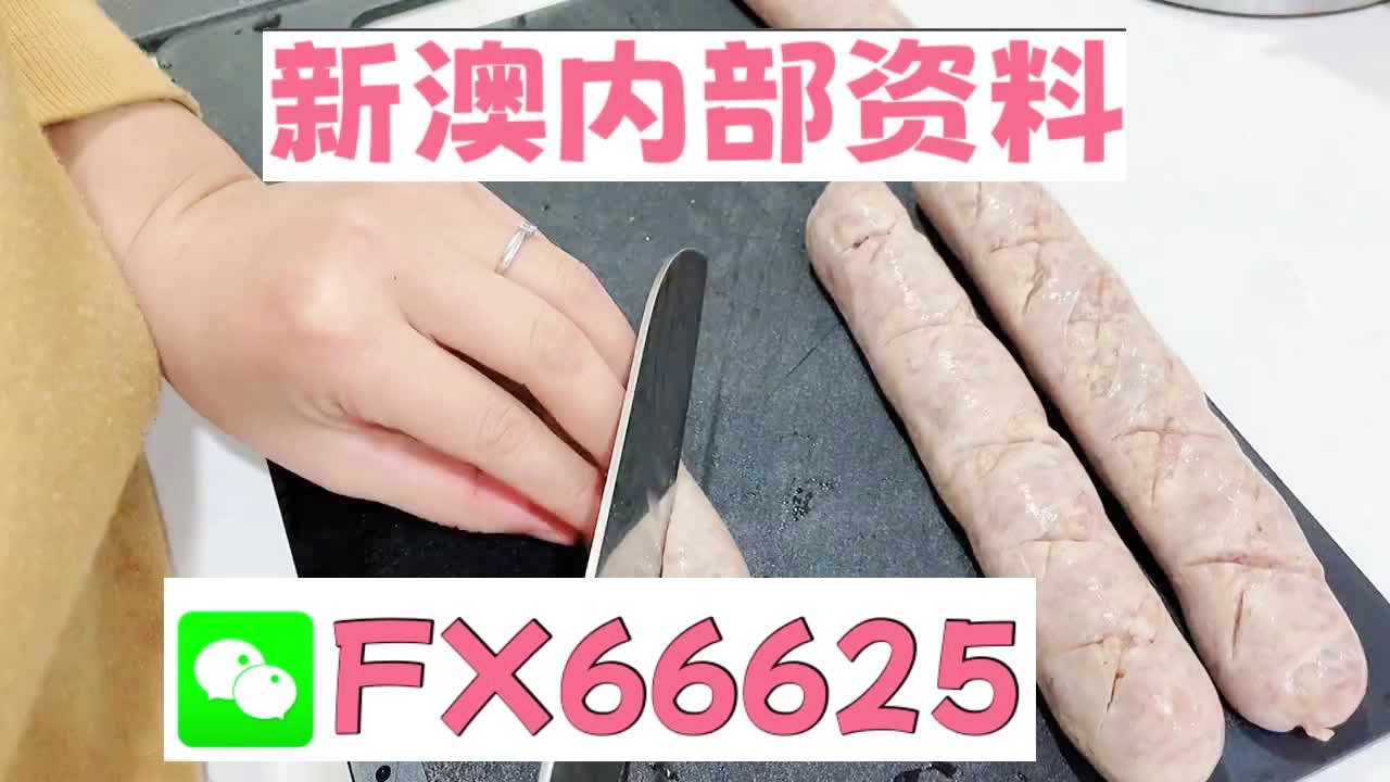 探索未来，2025新澳精准资料大全概览，探索未来，2025新澳精准资料大全概览概览