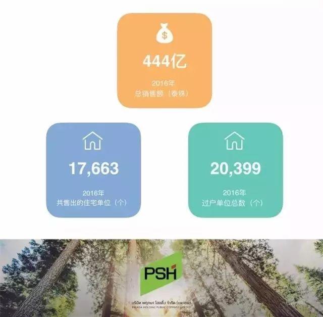 新莱应材股票，投资潜力与市场前景分析，新莱应材股票的投资潜力与市场前景深度解析