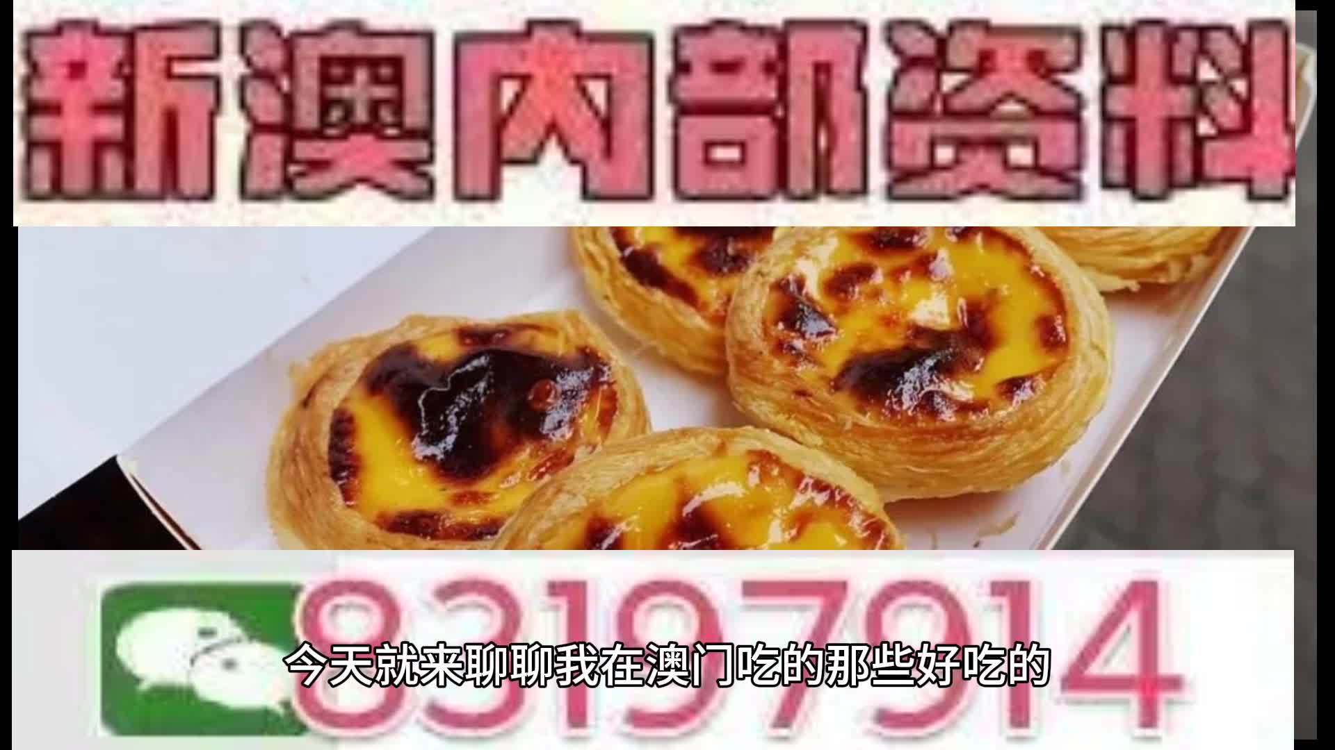 新澳门资料大全正版资料2025年免费下载，探索与解析，新澳门资料大全正版解析 2025年免费下载探索指南