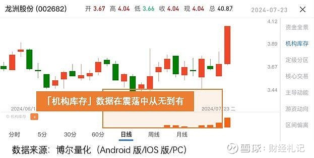 龙洲股份最新公告深度解析，龙洲股份最新公告深度解读与解析