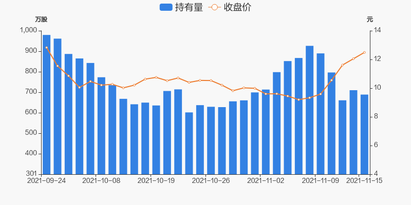 国城矿业股票，市场趋势与前景展望，国城矿业股票，市场趋势与前景展望分析