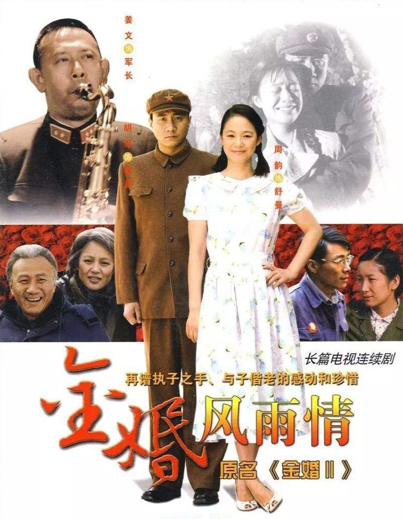 金婚电视剧全集免费高清在线观看，重温经典，感悟人生，金婚全集高清在线观看，重温经典，人生感悟启示录