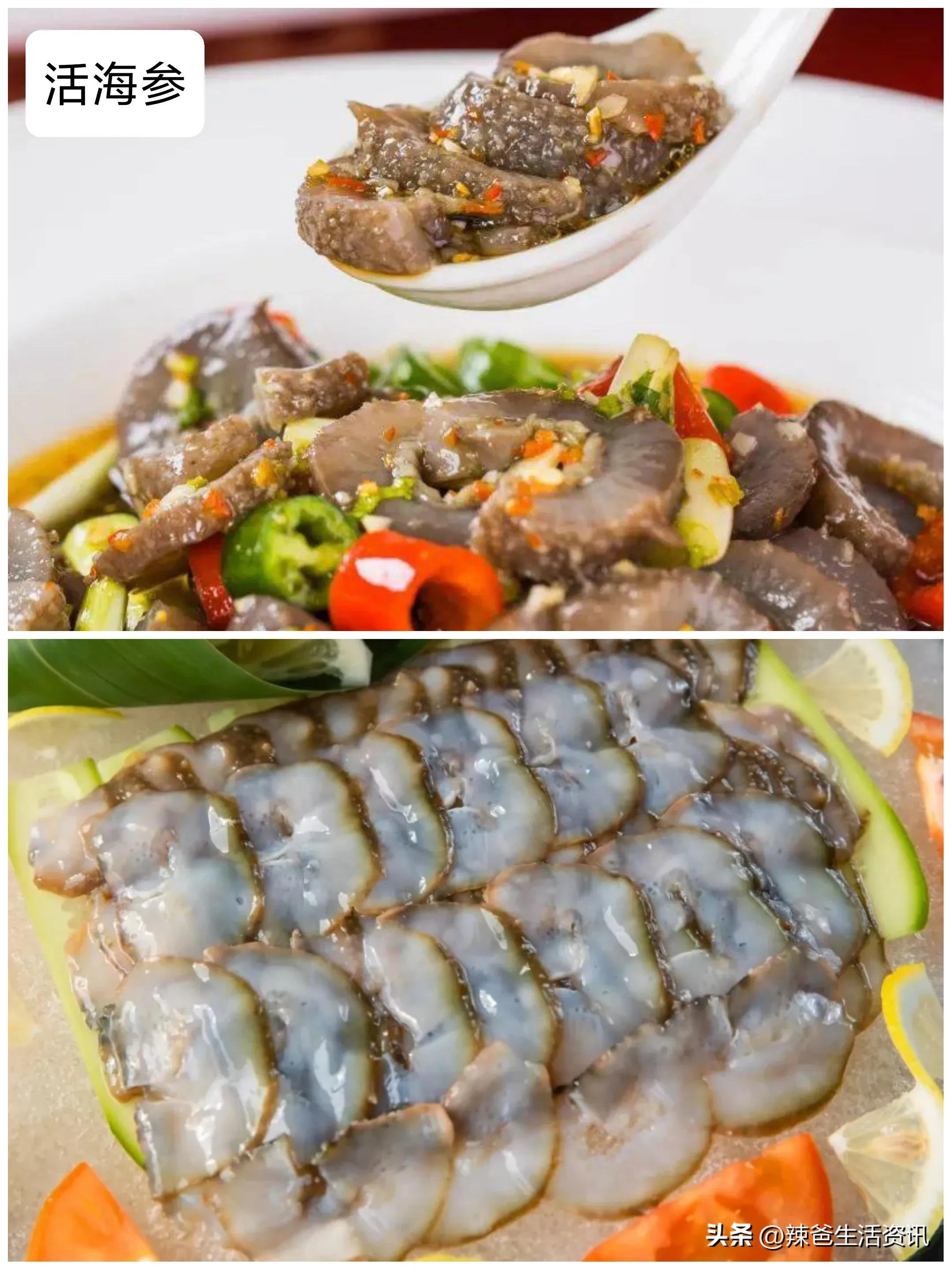 海参的三十种做法，千变万化的美食之旅，海参的千变万化美食之旅，三十种做法大揭秘