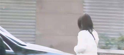 杭州妇联公益相亲平台，搭建爱的桥梁，助力幸福人生，杭州妇联公益相亲平台，搭建爱的桥梁，共创幸福人生之旅