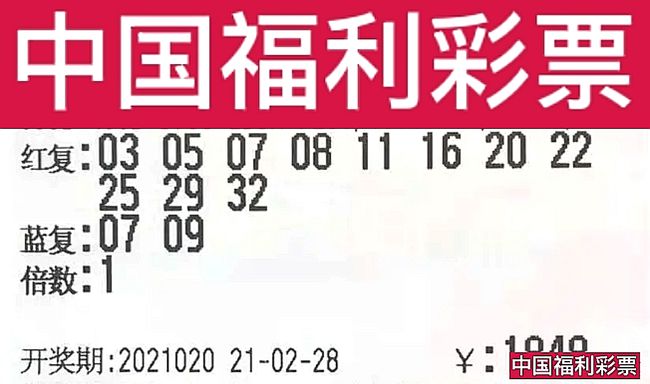 新澳门六会彩开奖结果今天——揭秘彩票背后的故事，揭秘新澳门六会彩开奖结果背后的故事，今日彩票开奖揭晓