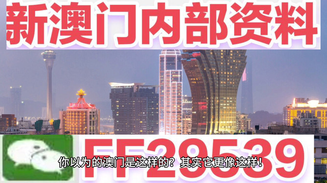 新澳2025今晚开奖资料详解，新澳2025今晚开奖资料全面解析