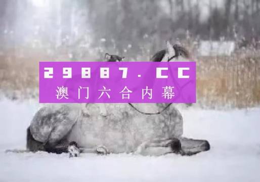 澳门正版精准资料，探索未来的机遇与挑战，澳门正版精准资料，未来机遇与挑战的探索